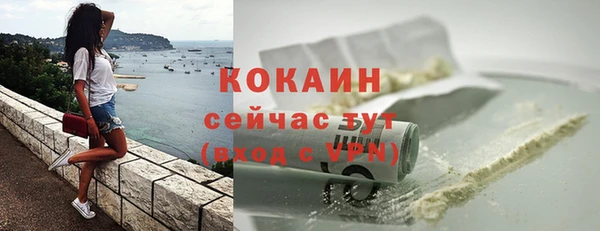прущие крисы Ельня