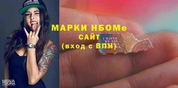 мдпв Елизово
