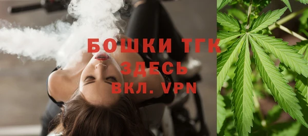 мдпв Елизово