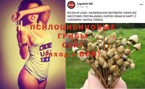 мдпв Елизово