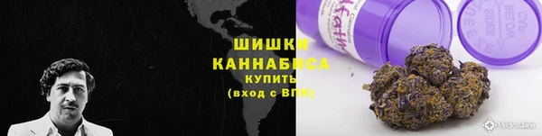 твердый Дегтярск