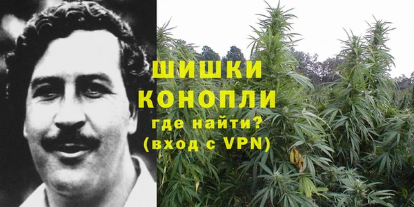прущие крисы Ельня