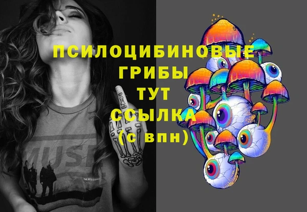 мдпв Елизово
