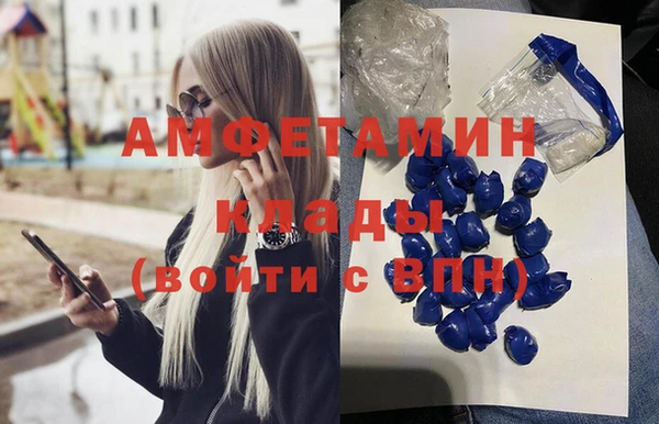 прущие крисы Ельня