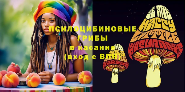 спайс Елабуга