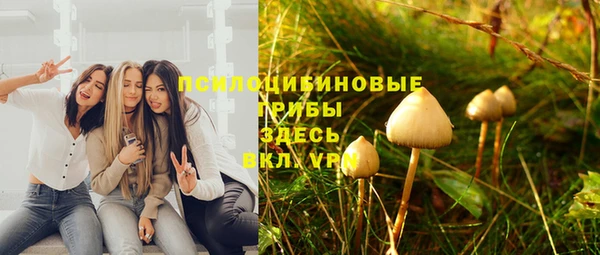 прущие крисы Ельня