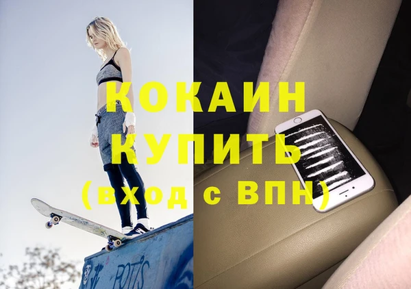 мдпв Елизово