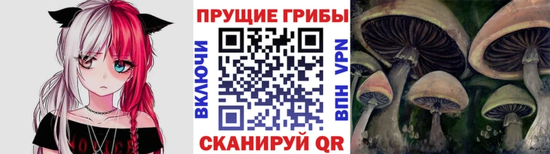 Галлюциногенные грибы MAGIC MUSHROOMS  где можно купить   Заволжье 