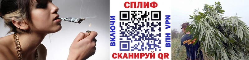 MEGA как зайти Заволжье Шишки марихуана конопля